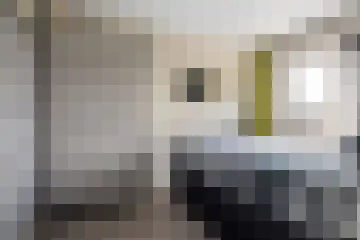 Olmendreef 6 Steenbergen thumbnail 38