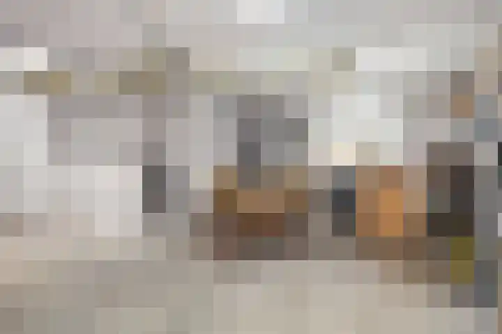 Olmendreef 6 Steenbergen thumbnail 49
