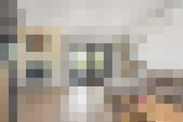 Olmendreef 6 Steenbergen thumbnail 9