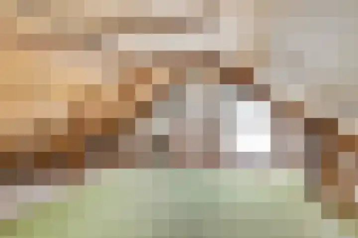 Olmenhof 10 Wijchen thumbnail 18