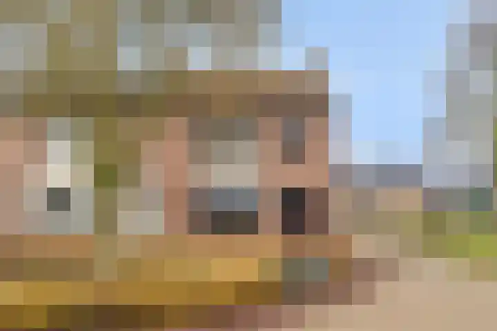 Olmenhof 10 Wijchen thumbnail 23