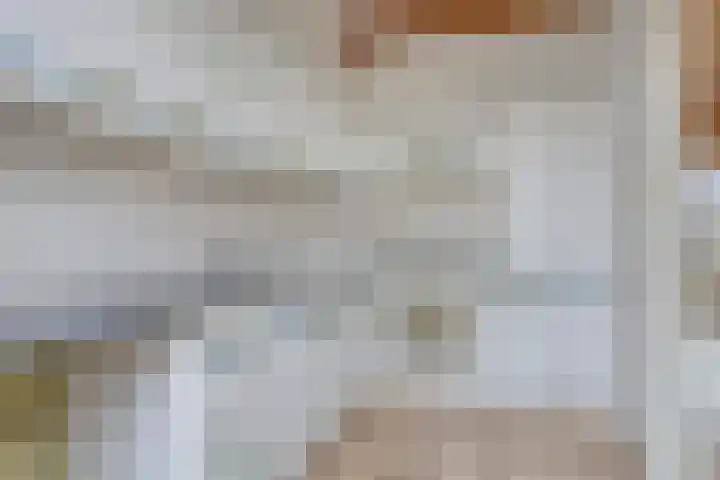 Olmenhof 10 Wijchen thumbnail 6