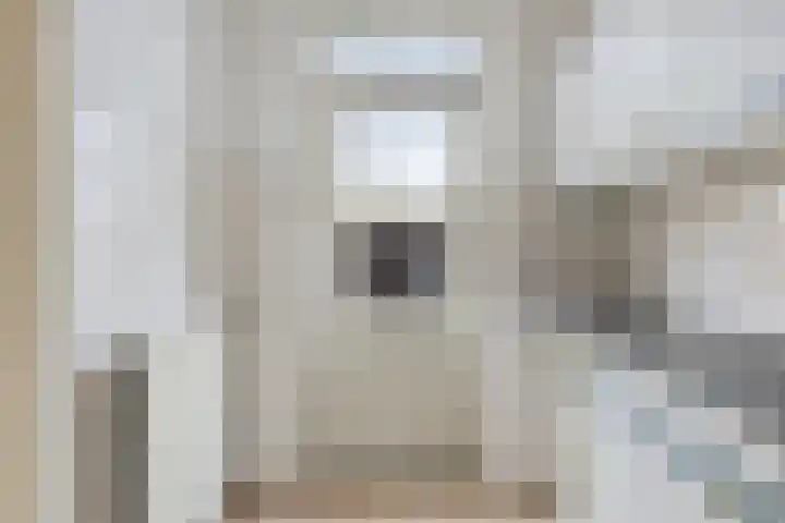 Olmenhof 10 Wijchen thumbnail 8
