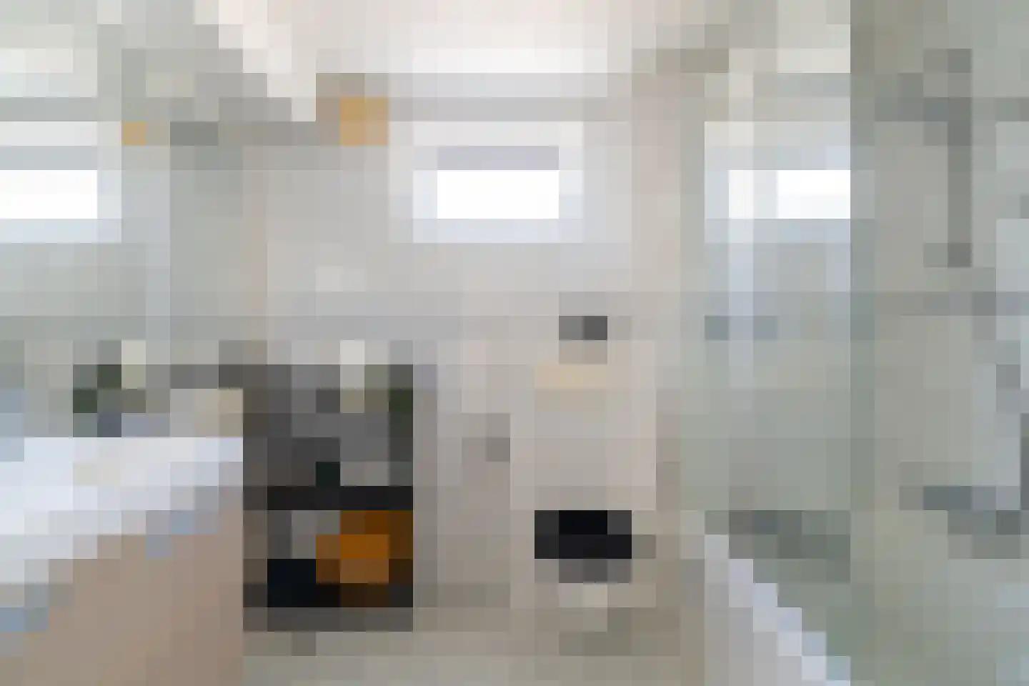 Olmenhof 13 Sleeuwijk thumbnail 21