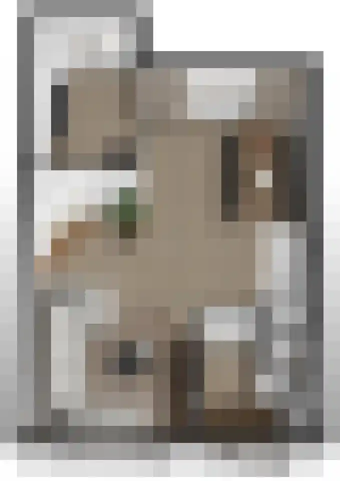 Olmenhof 13 Sleeuwijk thumbnail 33