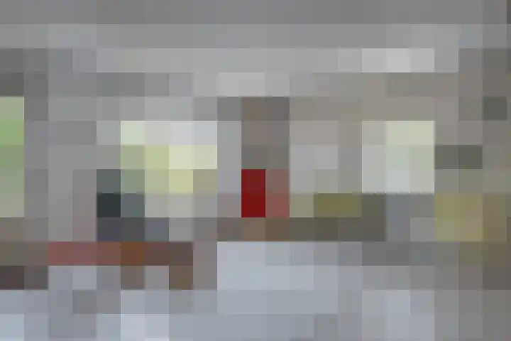 Olmenhof 2 Dieren thumbnail 10
