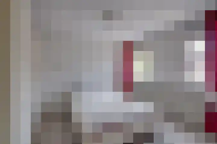 Olmenhof 2 Dieren thumbnail 18