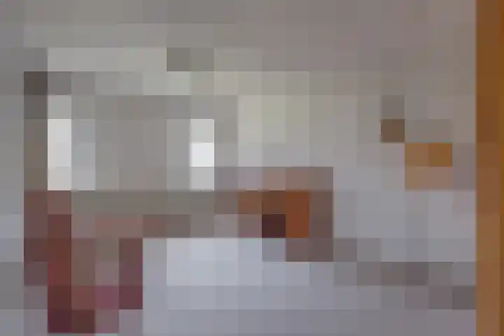 Olmenhof 2 Dieren thumbnail 20