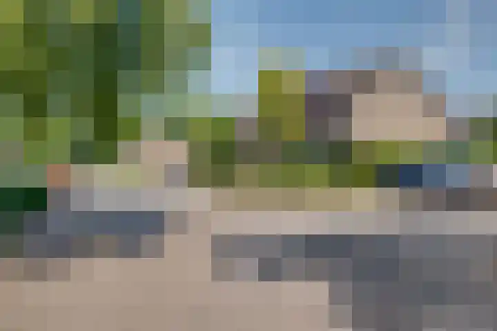 Olmenhof 2 Dieren thumbnail 32