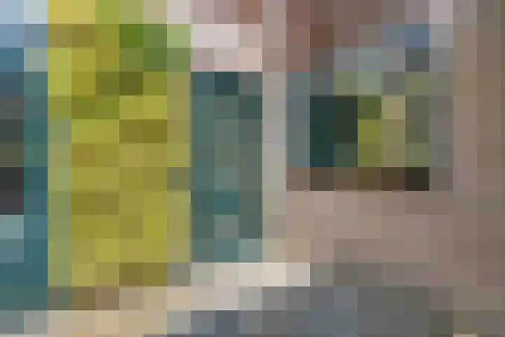 Olmenhof 2 Dieren thumbnail 6