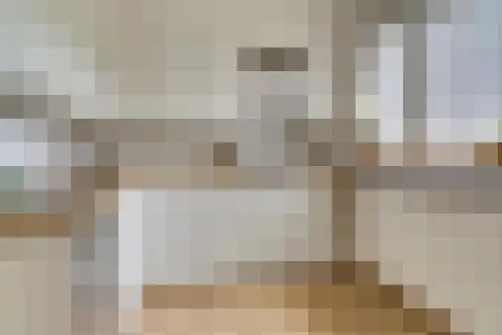 Olmenhof 40 Dieren thumbnail 10