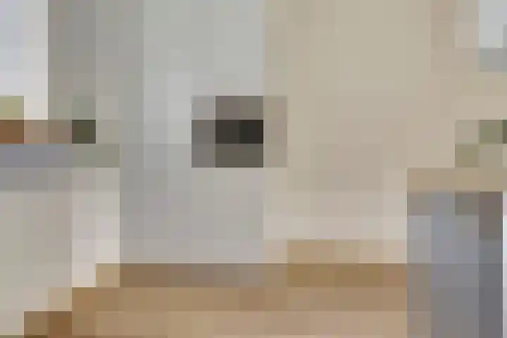 Olmenhof 40 Dieren thumbnail 12