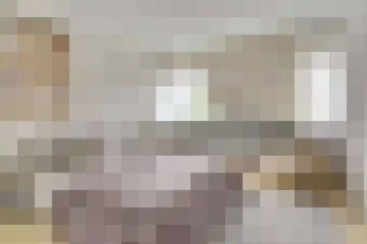 Olmenhof 40 Dieren thumbnail 16