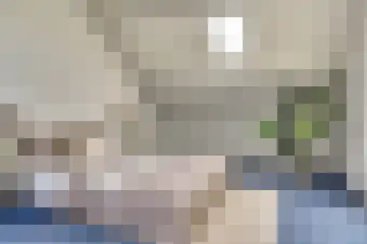 Olmenhof 40 Dieren thumbnail 24