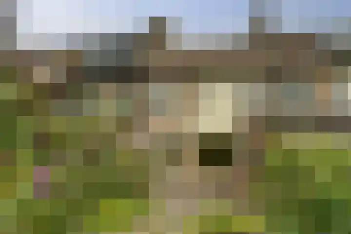 Olmenhof 40 Dieren thumbnail 29