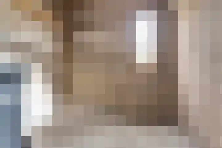 Olmenhof 40 Dieren thumbnail 31