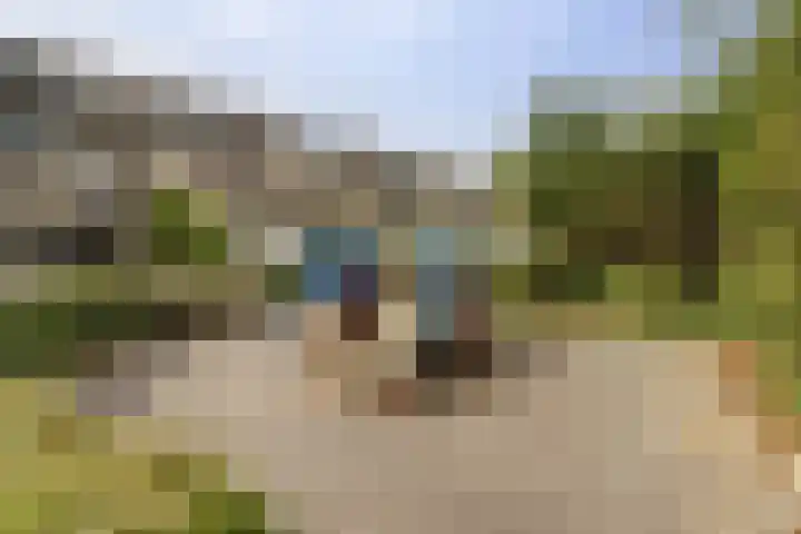 Olmenhof 40 Dieren thumbnail 33