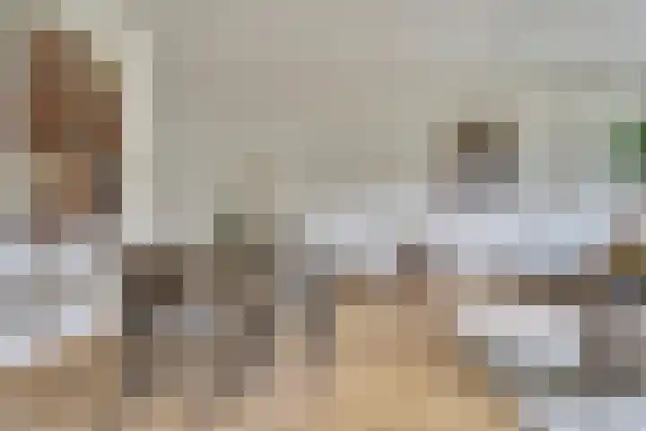 Olmenhof 40 Dieren thumbnail 5
