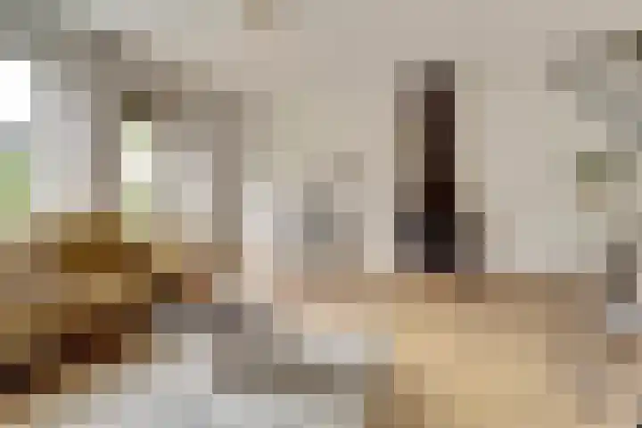Olmenhof 40 Dieren thumbnail 9