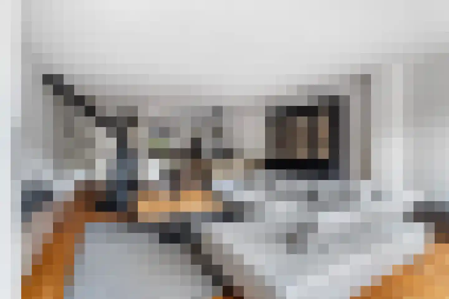 Olmenhof 56 Dieren thumbnail 10