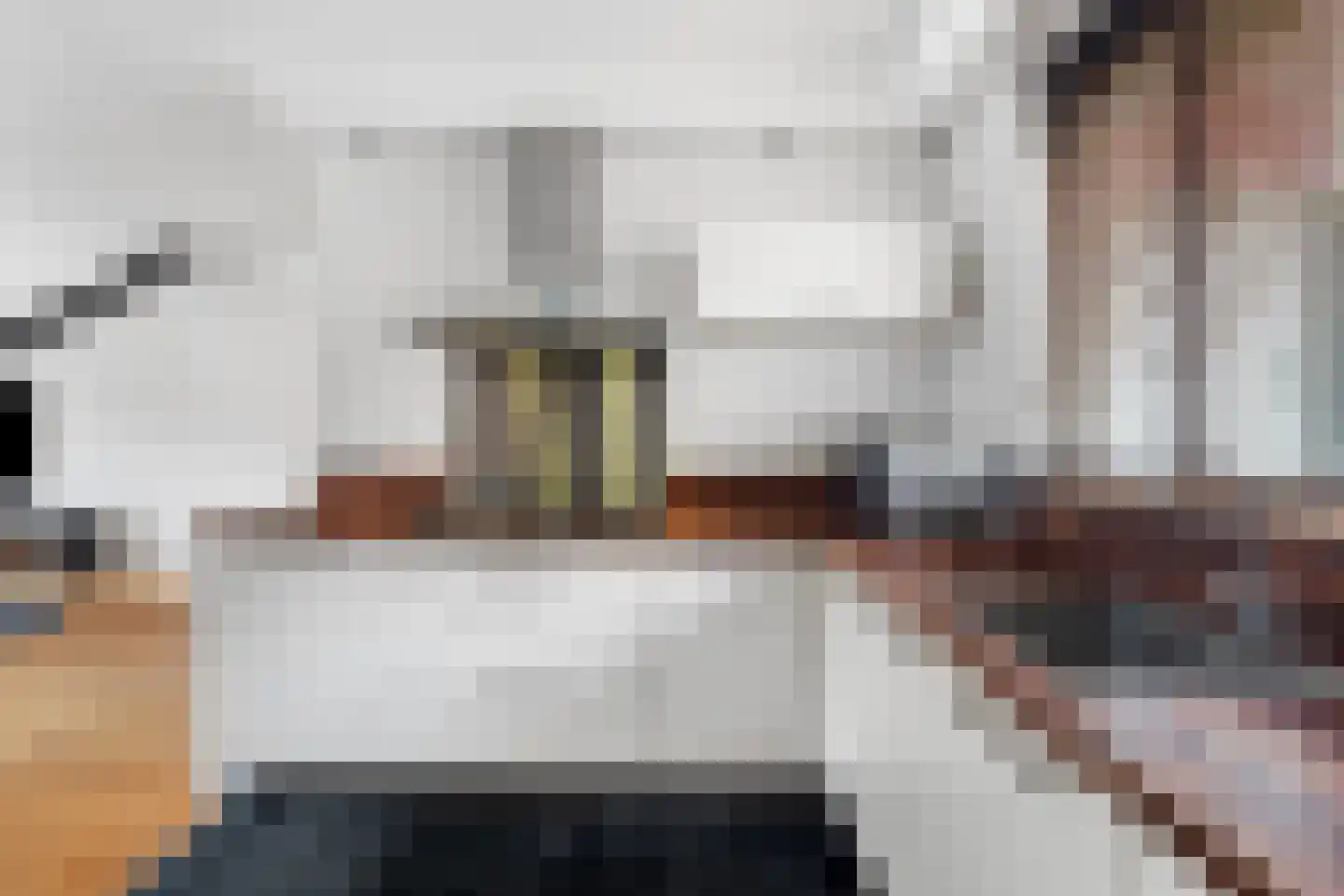 Olmenhof 56 Dieren thumbnail 13