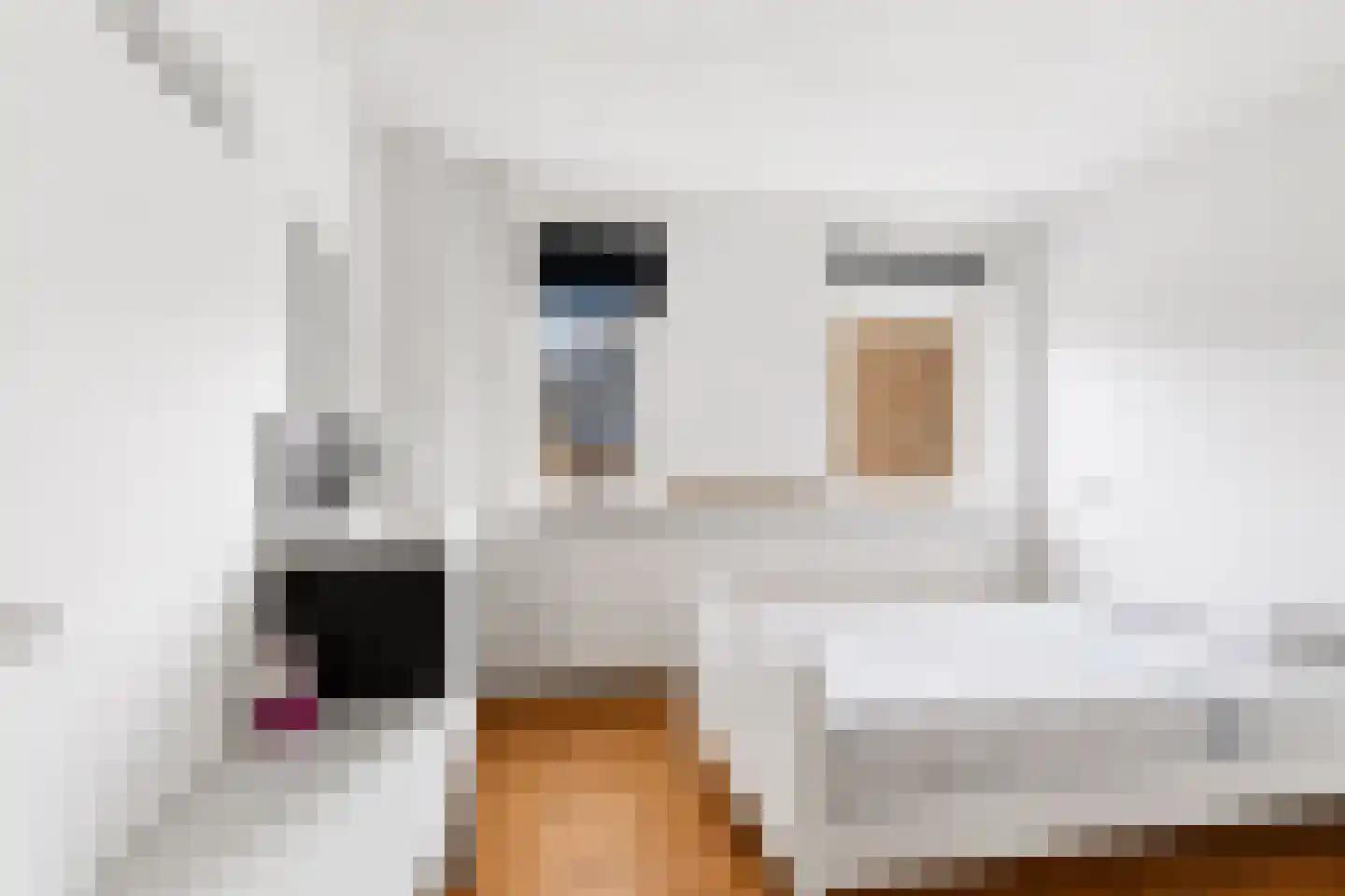 Olmenhof 56 Dieren thumbnail 22