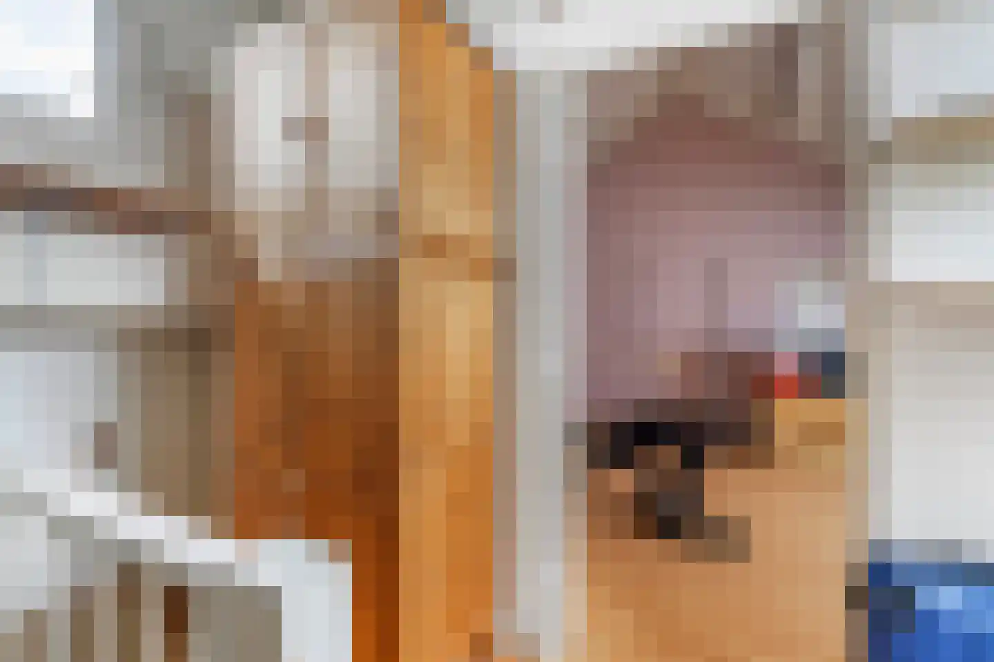 Olmenhof 56 Dieren thumbnail 25