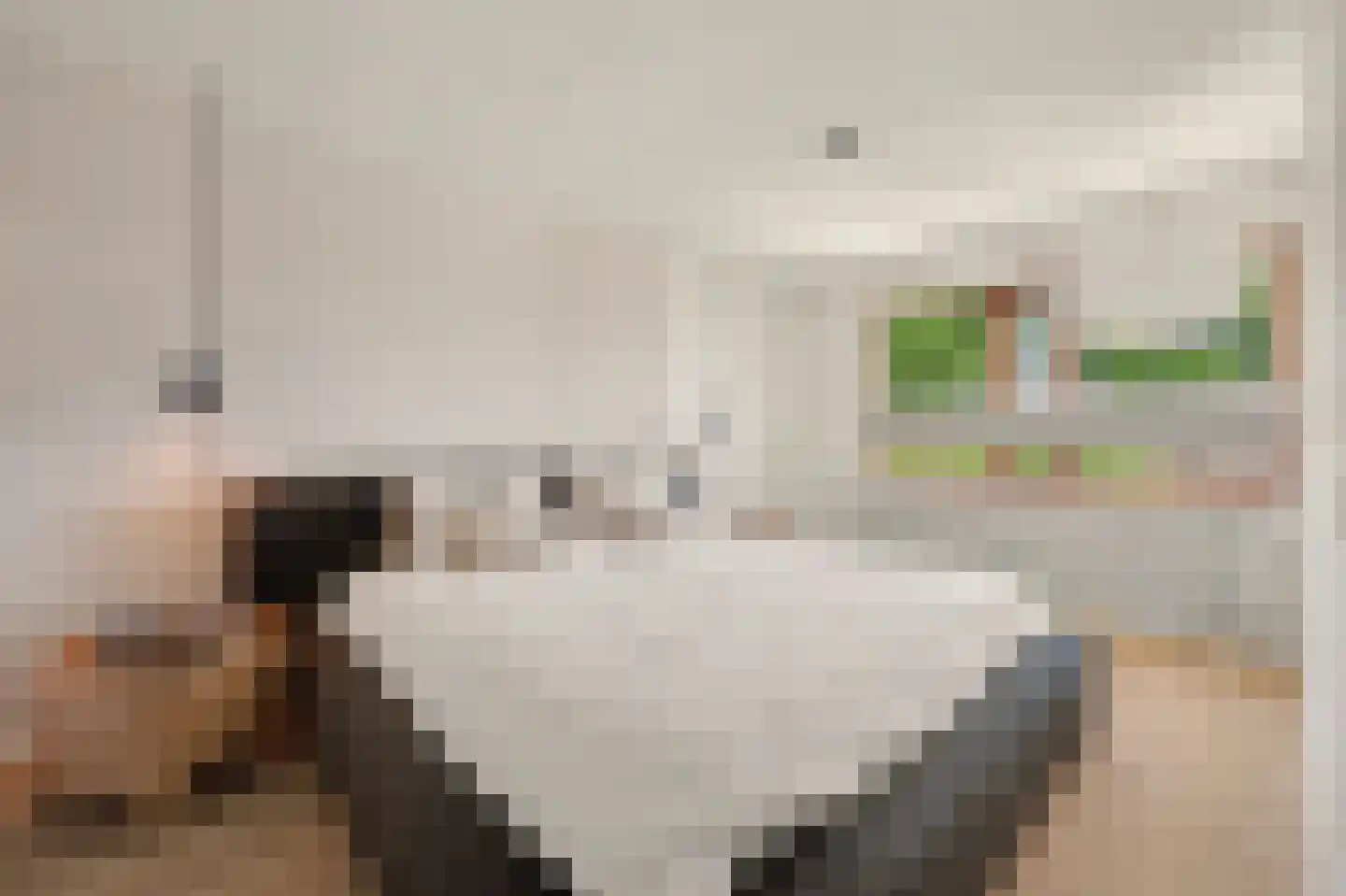 Olmenhorst 10 Rockanje thumbnail 21