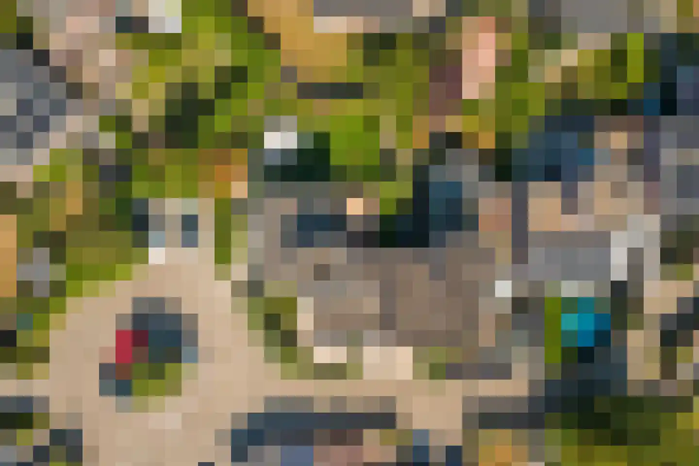 Olmenhorst 10 Rockanje thumbnail 37
