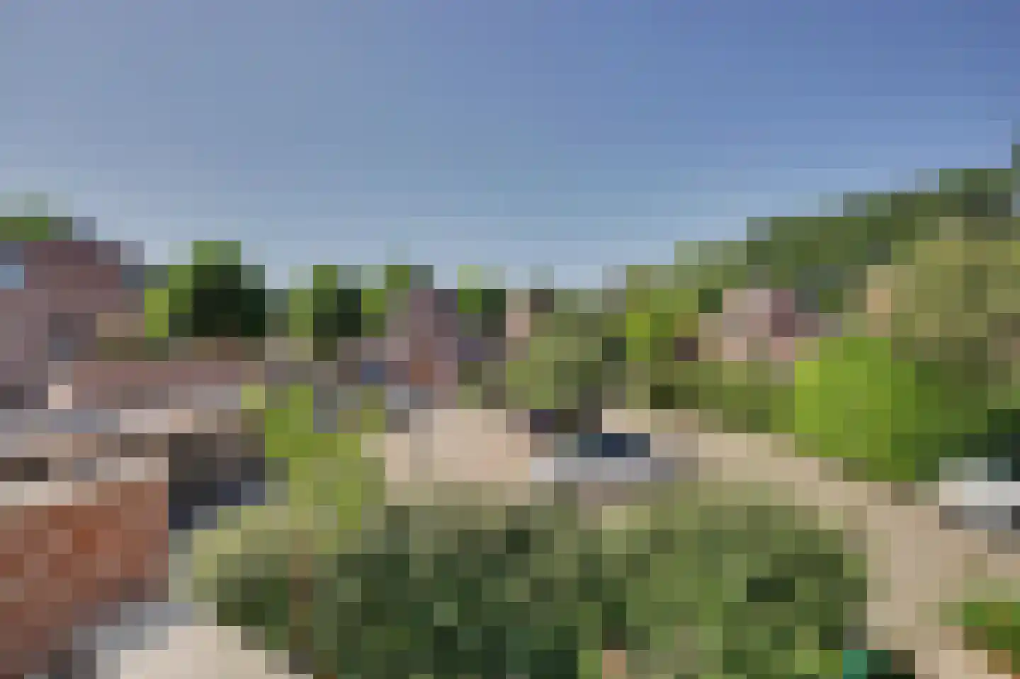Olmenhorst 10 Rockanje thumbnail 38