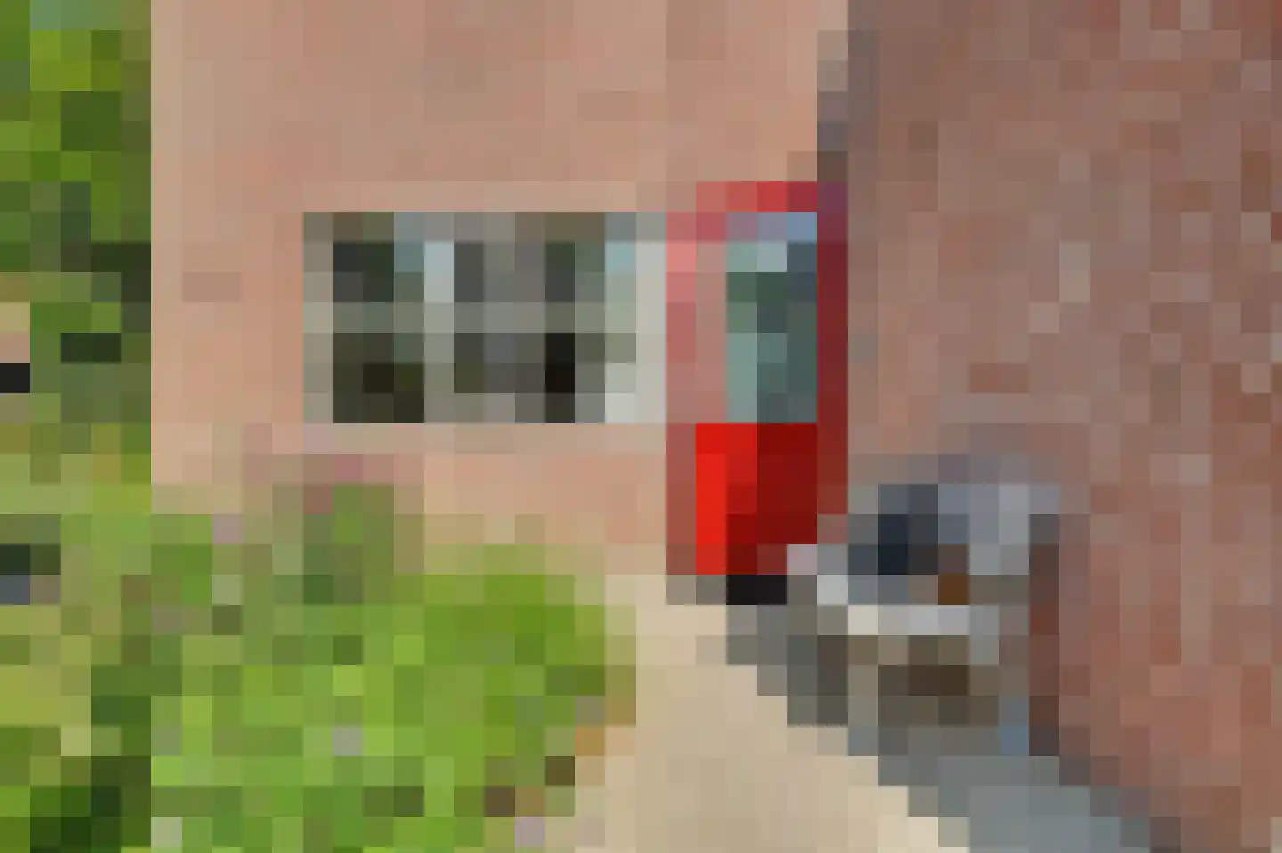 Olmenhorst 10 Rockanje thumbnail 40
