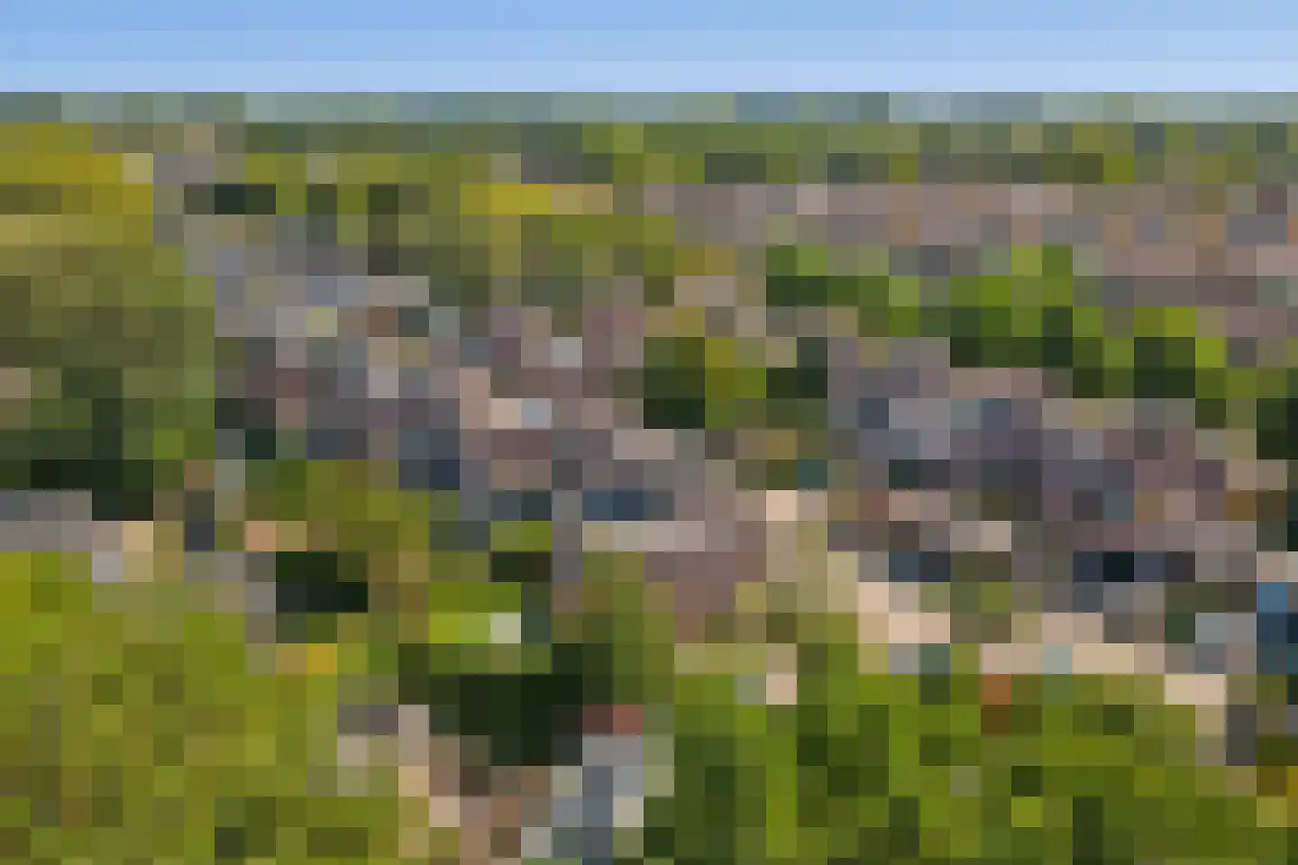 Olmenhorst 10 Rockanje thumbnail 48