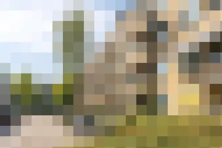 Olmenlaan 106 Bussum thumbnail 21