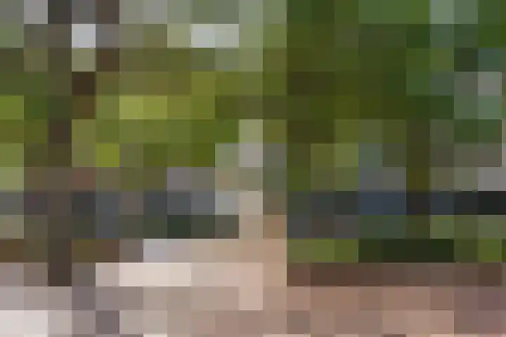 Olmenlaan 106 Bussum thumbnail 22