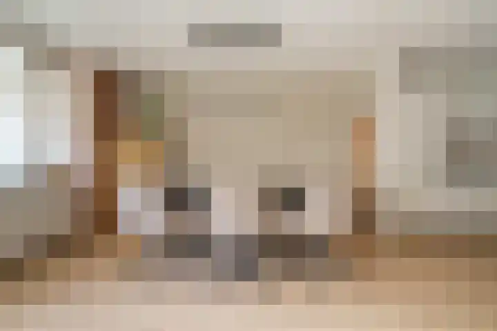 Olmenlaan 106 Bussum thumbnail 9