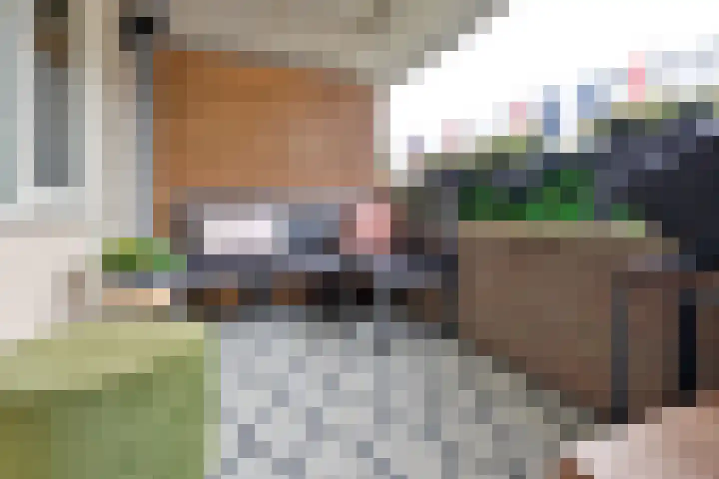 Olmenlaan 108 Bussum thumbnail 6