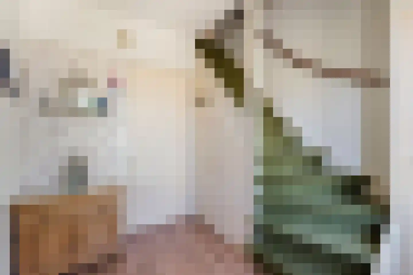 Olmenlaan 11 Zuid-Scharwoude thumbnail 13