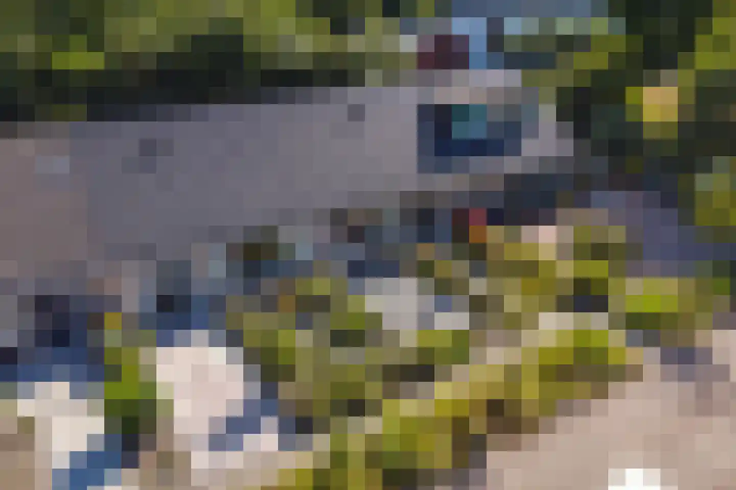 Olmenlaan 11 Zuid-Scharwoude thumbnail 26
