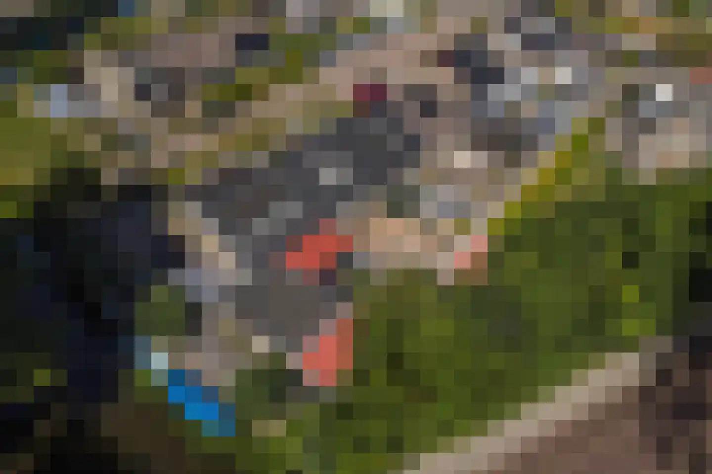 Olmenlaan 11 Zuid-Scharwoude thumbnail 27