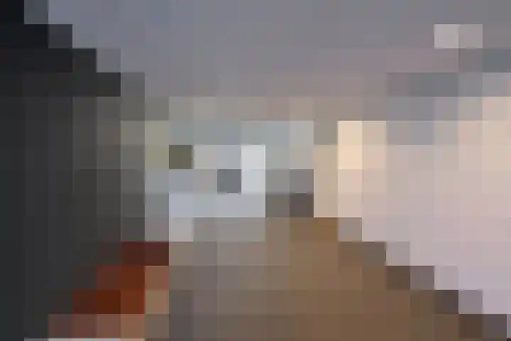 Olmenlaan 114 Bussum thumbnail 11