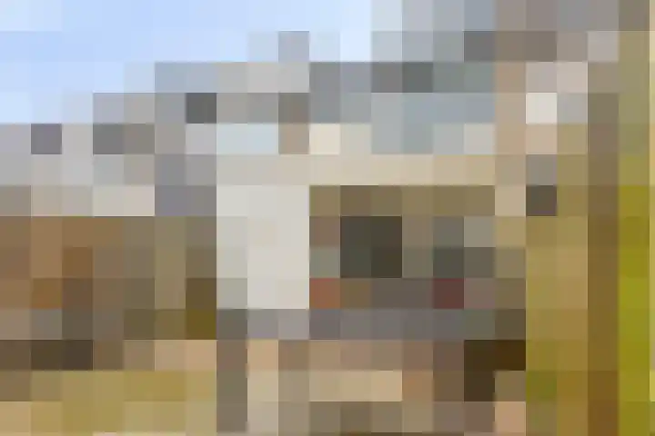 Olmenlaan 13 Nijkerk thumbnail 26