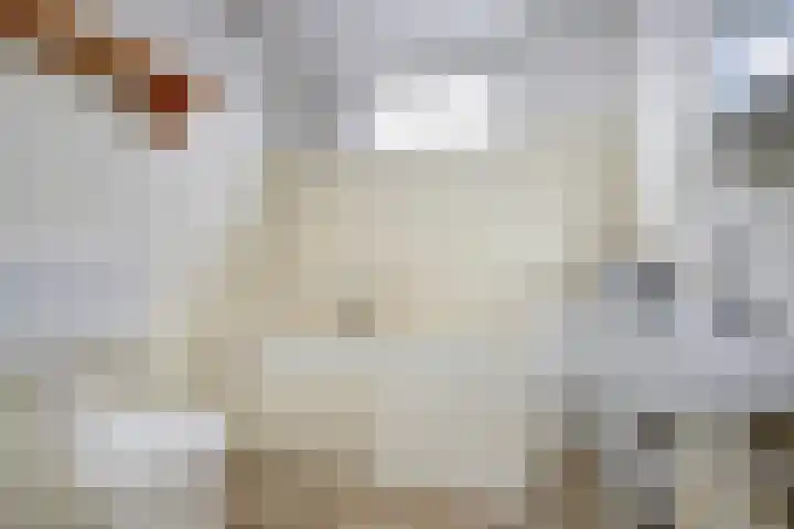Olmenlaan 2 Nijkerk thumbnail 19