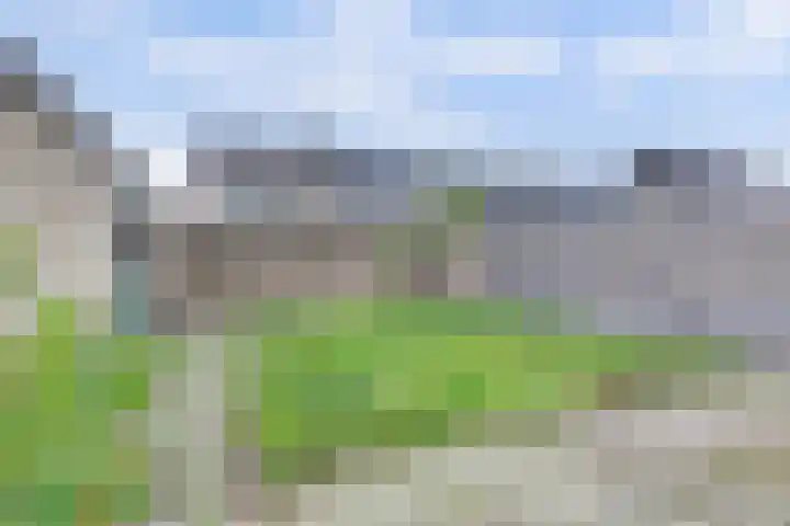 Olmenlaan 2 Nijkerk thumbnail 26