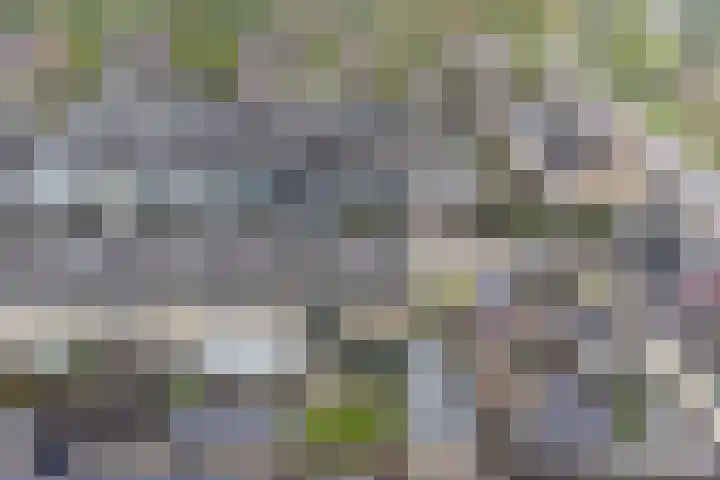 Olmenlaan 2 Nijkerk thumbnail 29
