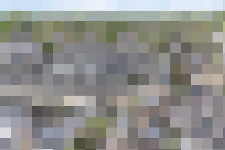 Olmenlaan 2 Nijkerk thumbnail 30