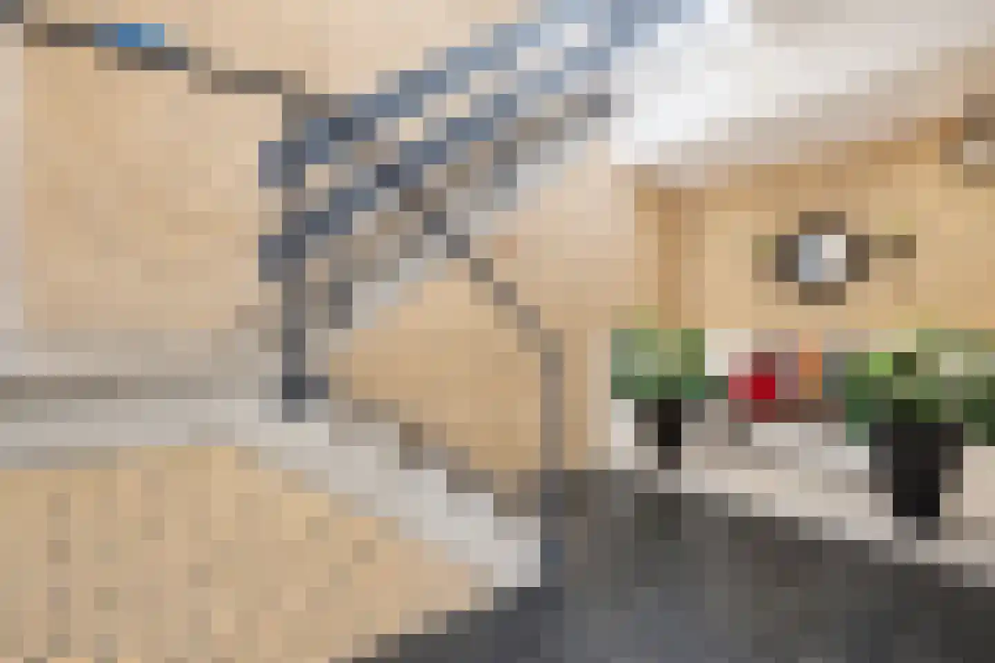 Olmenlaan 30 Ridderkerk thumbnail 9