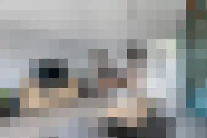 Olmenlaan 34 Ridderkerk thumbnail 17