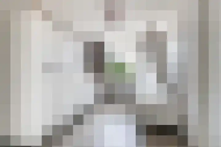 Olmenlaan 34 Ridderkerk thumbnail 22