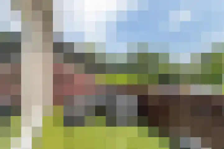 Olmenlaan 34 Ridderkerk thumbnail 26