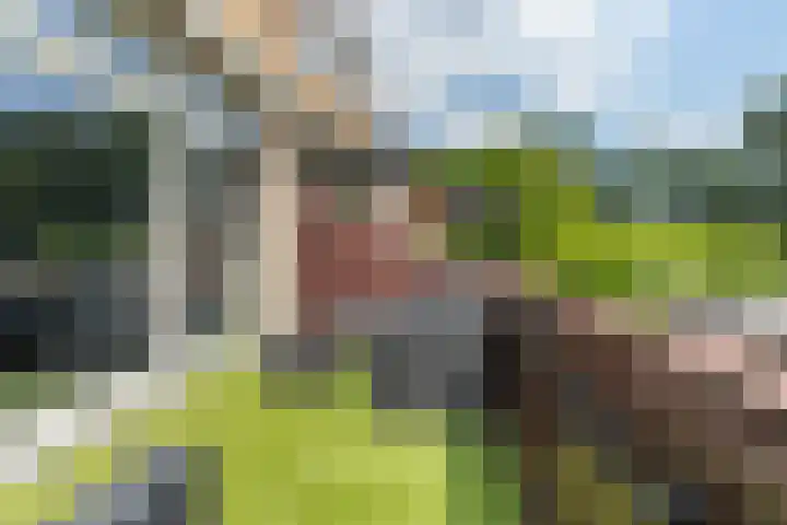 Olmenlaan 34 Ridderkerk thumbnail 27